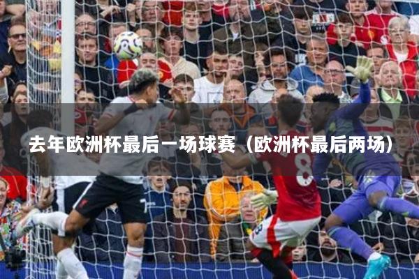 去年欧洲杯最后一场球赛（欧洲杯最后两场）