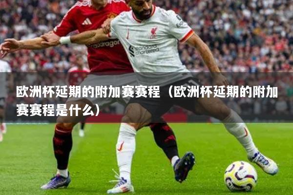 欧洲杯延期的附加赛赛程（欧洲杯延期的附加赛赛程是什么）