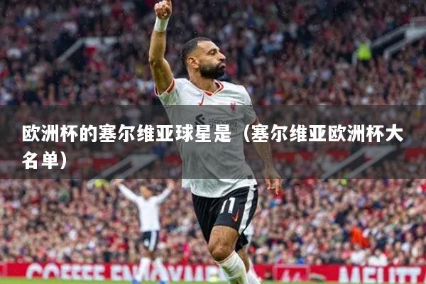 欧洲杯的塞尔维亚球星是（塞尔维亚欧洲杯大名单）