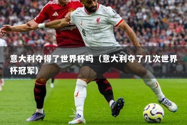 意大利夺得了世界杯吗（意大利夺了几次世界杯冠军）