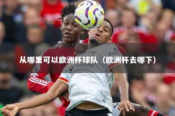 从哪里可以欧洲杯球队（欧洲杯去哪下）