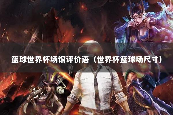 篮球世界杯场馆评价语（世界杯篮球场尺寸）