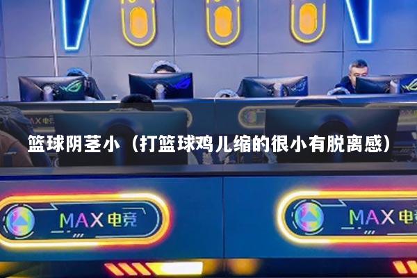 篮球阴茎小（打篮球鸡儿缩的很小有脱离感）