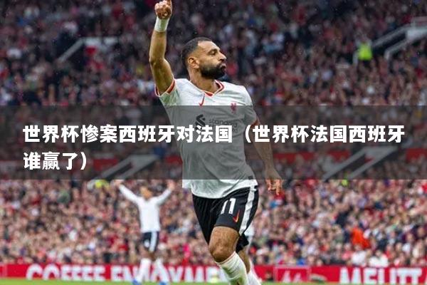 世界杯惨案西班牙对法国（世界杯法国西班牙谁赢了）