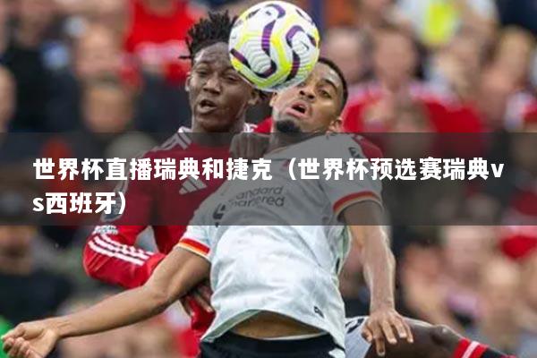 世界杯直播瑞典和捷克（世界杯预选赛瑞典vs西班牙）