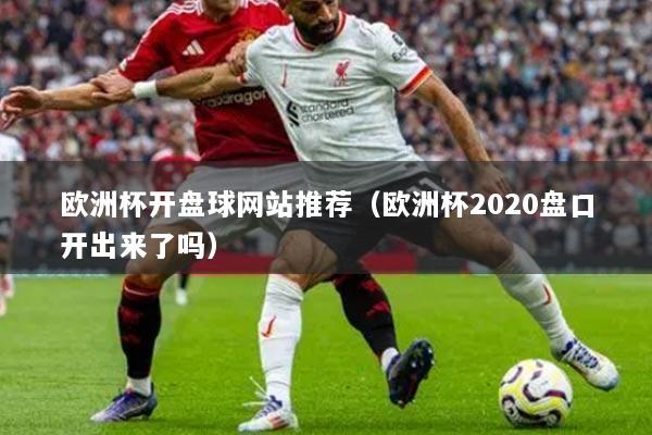 欧洲杯开盘球网站推荐（欧洲杯2020盘口开出来了吗）