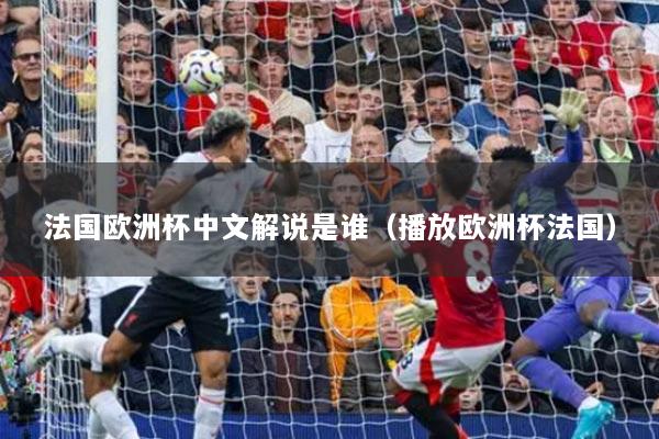 法国欧洲杯中文解说是谁（播放欧洲杯法国）