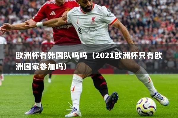 欧洲杯有韩国队吗吗（2021欧洲杯只有欧洲国家参加吗）