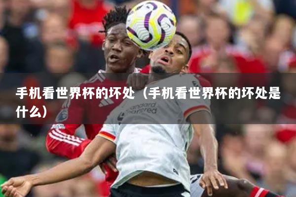 手机看世界杯的坏处（手机看世界杯的坏处是什么）