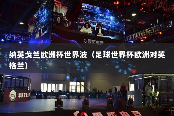 纳英戈兰欧洲杯世界波（足球世界杯欧洲对英格兰）