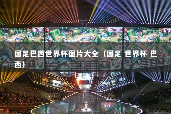 国足巴西世界杯图片大全（国足 世界杯 巴西）