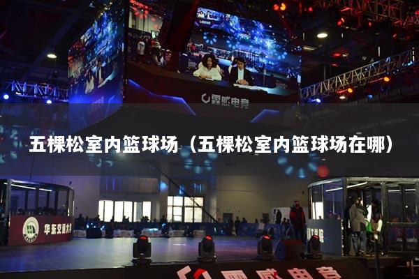 五棵松室内篮球场（五棵松室内篮球场在哪）