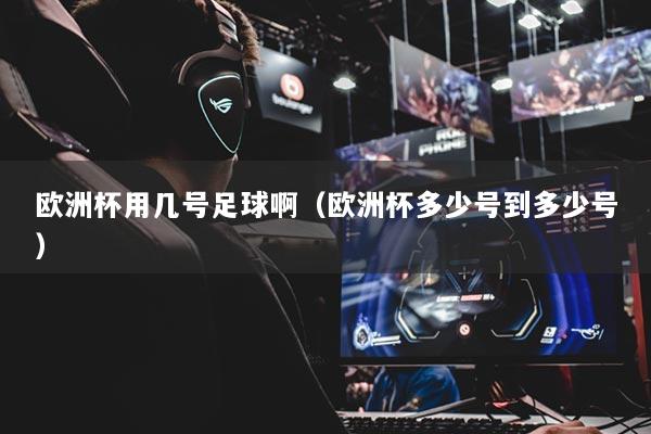 详细阅读:欧洲杯用几号足球啊(欧洲杯多少号到多少号) 欧洲杯用几号足球啊(欧洲杯多少号到多少号)